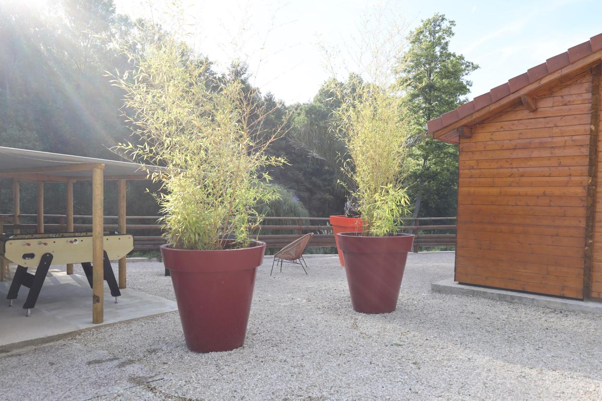 Les Chalets Du Marais Saint-Pierre-Aigle 외부 사진